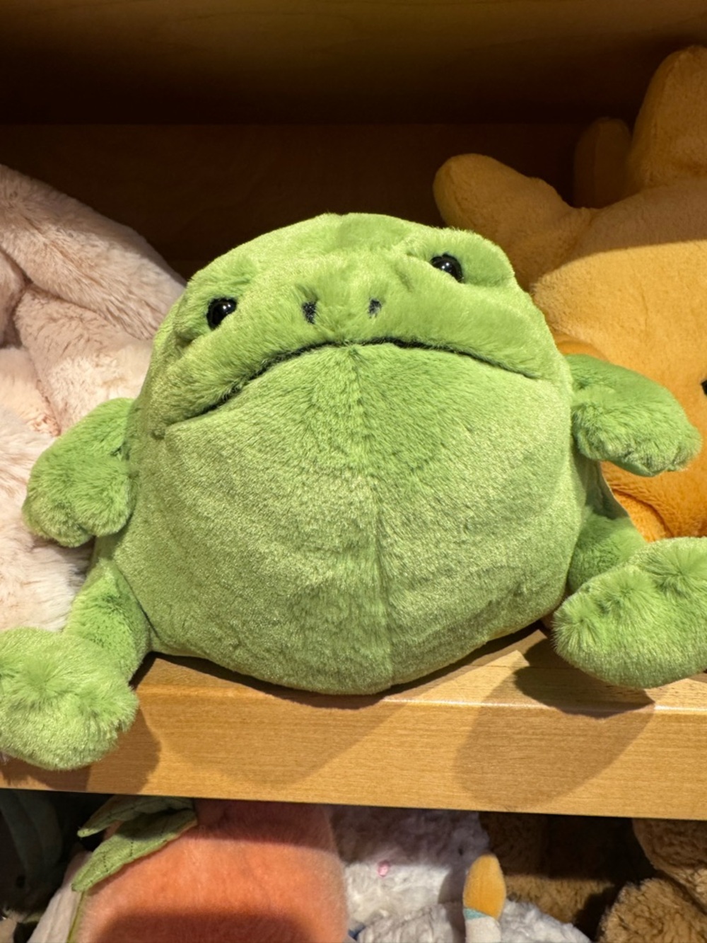 Jellycat Ricky Rain Frog - Picture 4 of 4